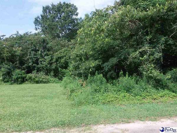 0.62 Acres of Residential Land for Sale in Lamar, South Carolina