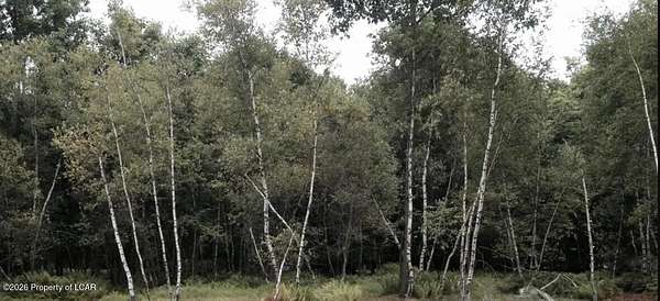 0.16 Acres of Residential Land for Sale in North Union Township, Pennsylvania