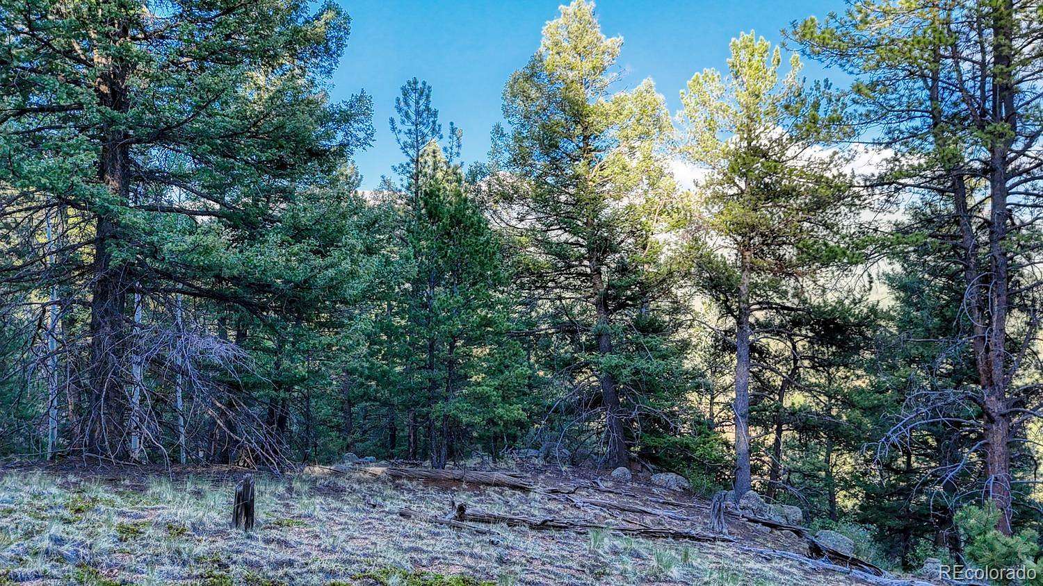 1.13 Acres of Residential Land for Sale in Divide, Colorado