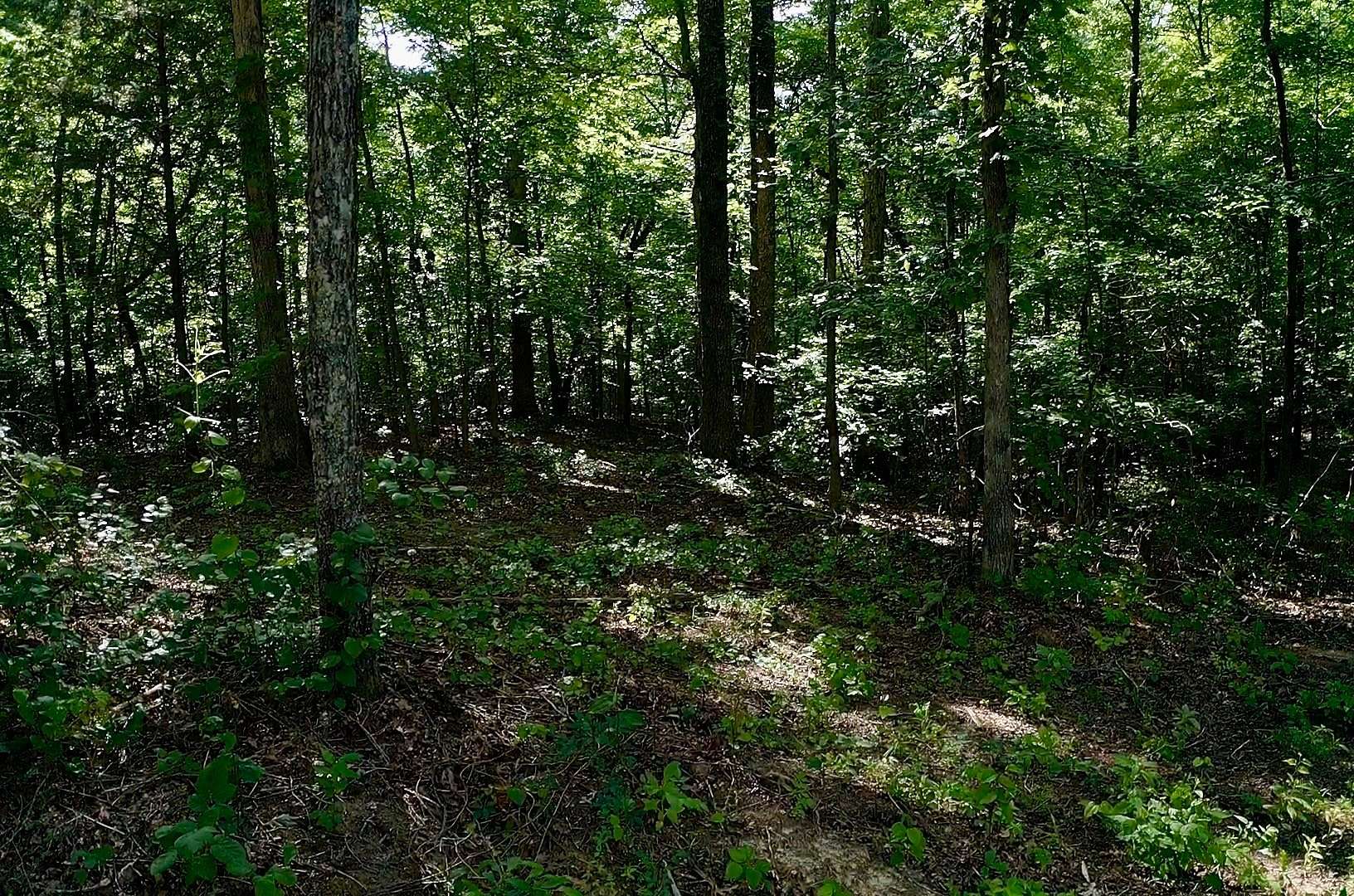 36.9 Acres of Recreational & Residential Land for Sale in Parsons, Tennessee