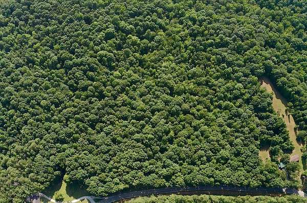 36.9 Acres of Recreational & Residential Land for Sale in Parsons, Tennessee