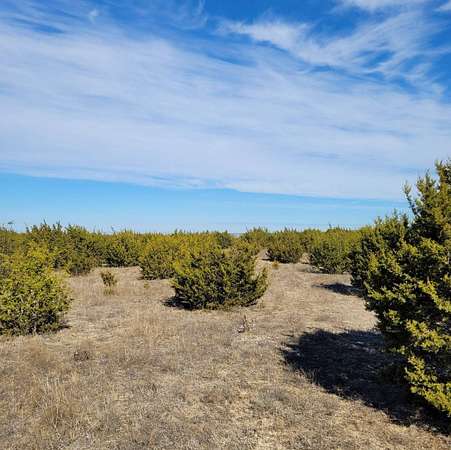 12 Acres of Land for Sale in Jonesboro, Texas