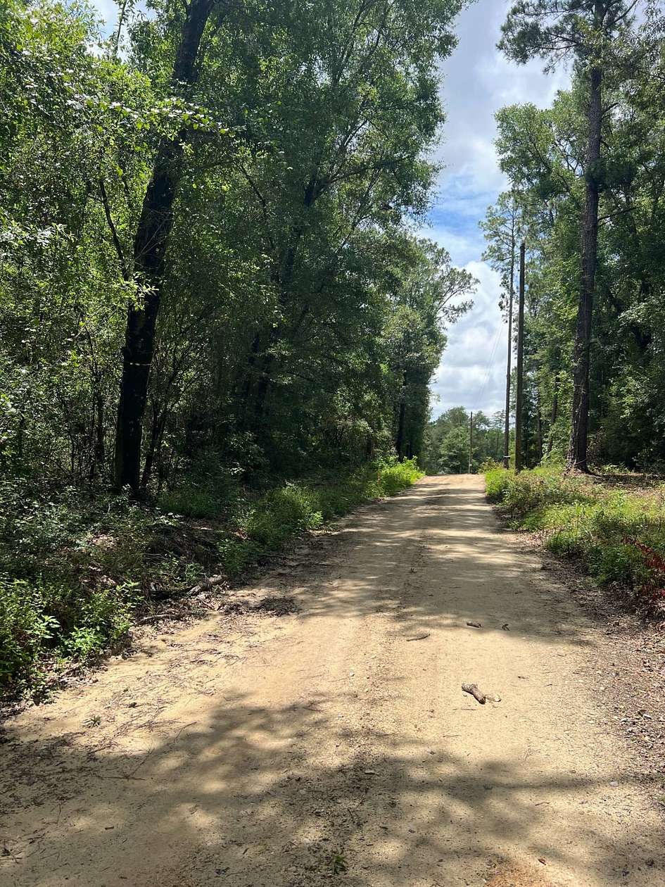 0.77 Acres of Residential Land for Sale in Bonifay, Florida