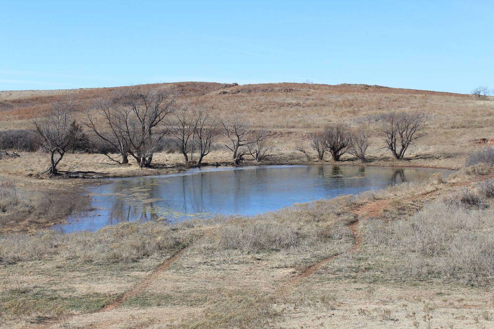 520 Acres of Land for Sale in Freedom, Oklahoma