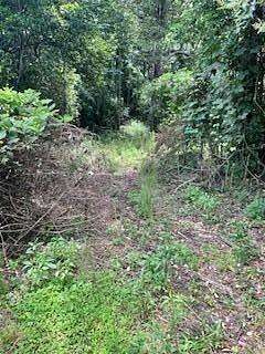 0.19 Acres of Residential Land for Sale in Luverne, Alabama
