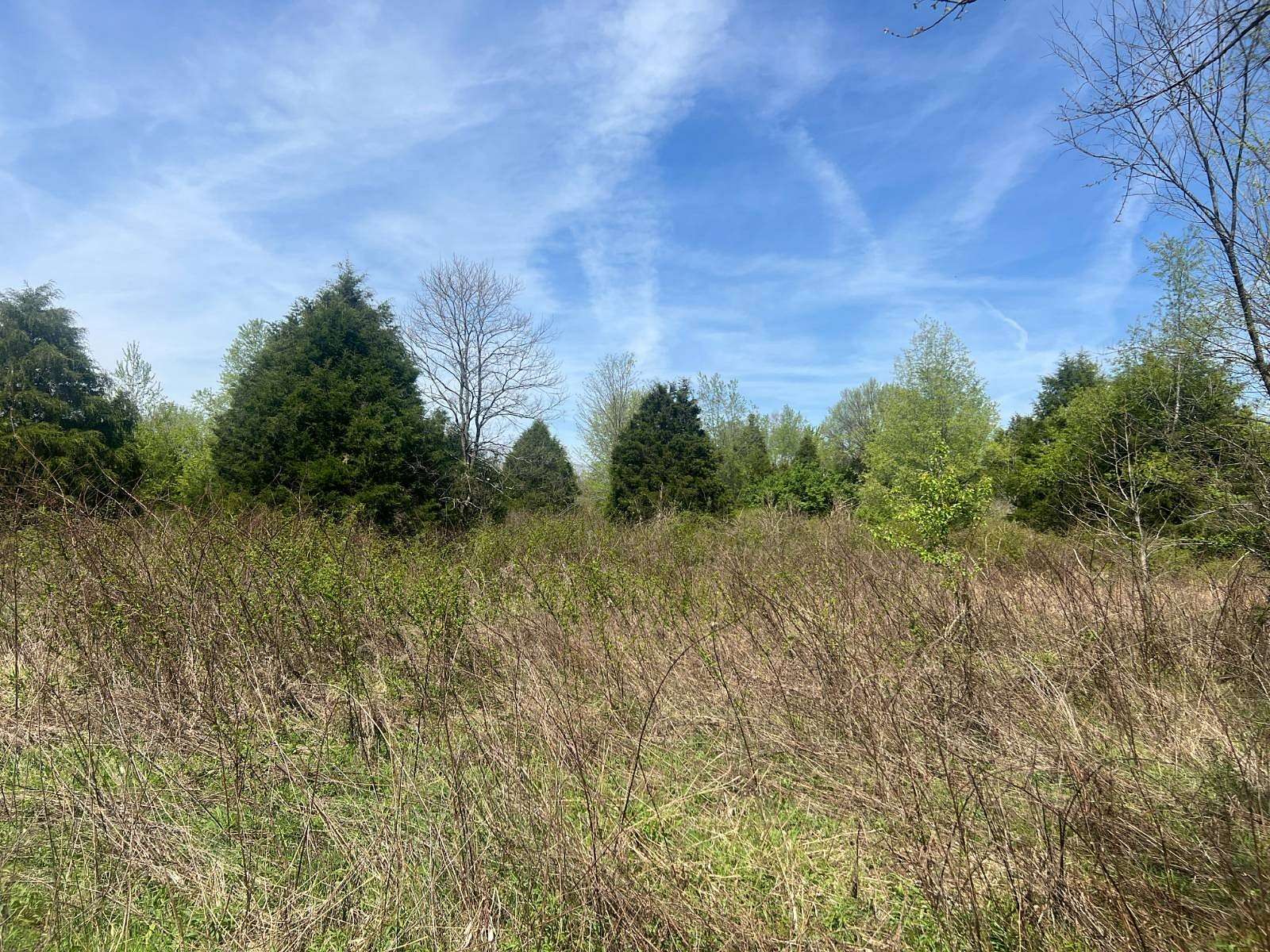 110 Acres of Land for Sale in Beaver Dam, Kentucky