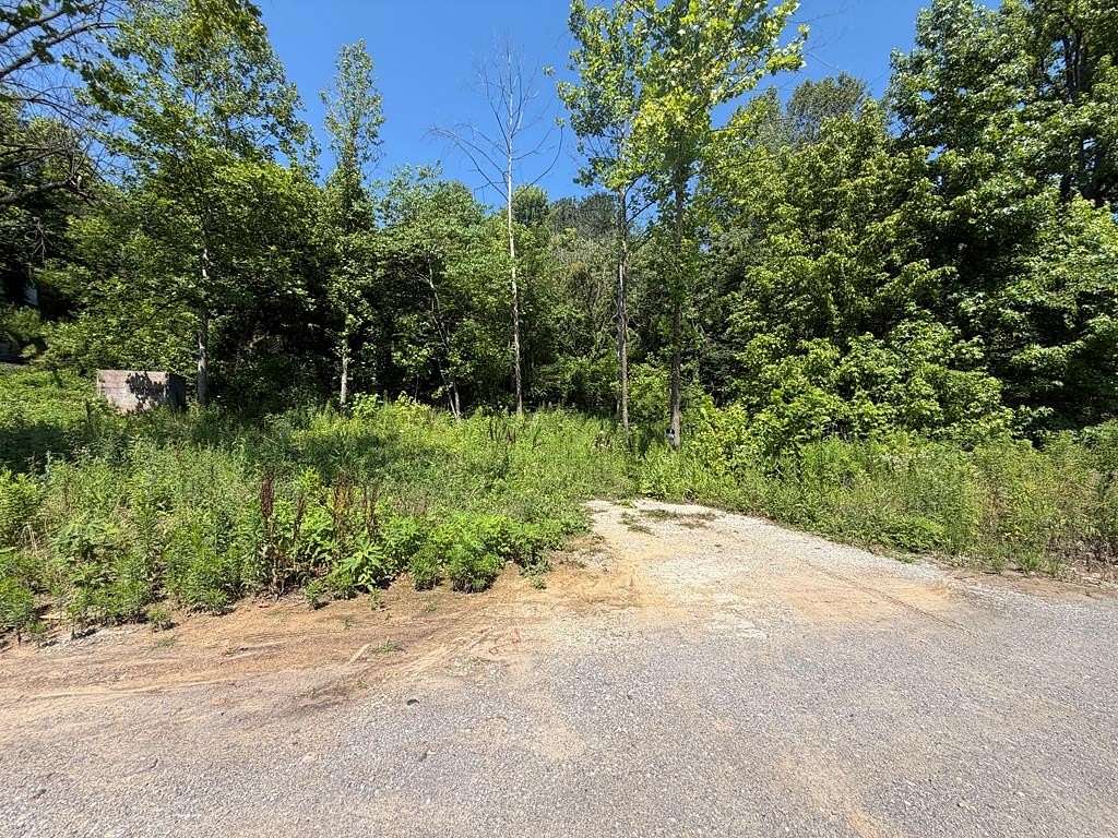 0.03 Acres of Residential Land for Sale in Dwale, Kentucky