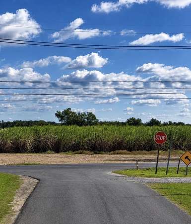 17.2 Acres of Commercial Land for Sale in Vacherie, Louisiana