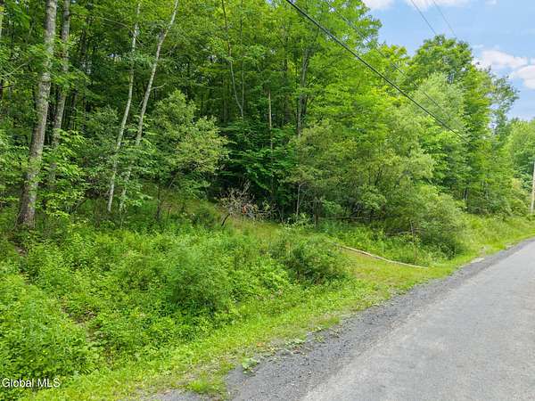 10.5 Acres of Recreational Land for Sale in Richmondville, New York