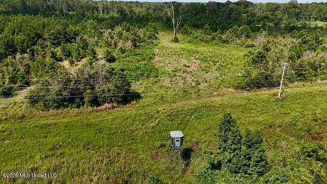 221 Acres of Recreational & Residential Land for Sale in Gloster, Mississippi