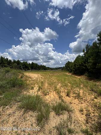 221 Acres of Recreational & Residential Land for Sale in Gloster, Mississippi