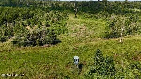 221 Acres of Recreational & Residential Land for Sale in Gloster, Mississippi