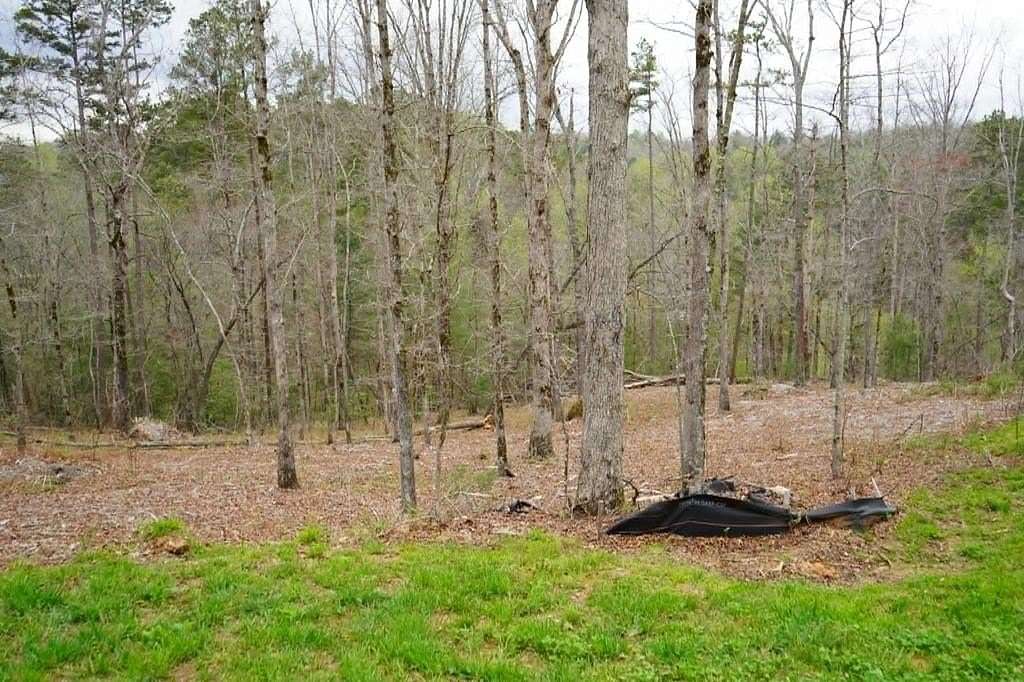 1.45 Acres of Residential Land for Sale in Ellijay, Georgia