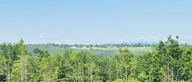 44 Acres of Land for Sale in Poland, Maine