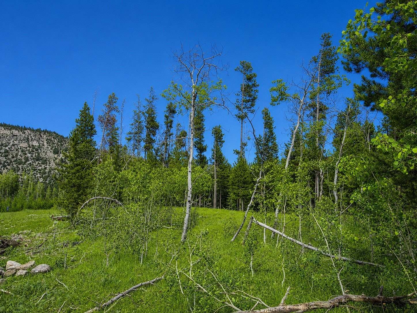6.1 Acres of Residential Land for Sale in Anaconda, Montana