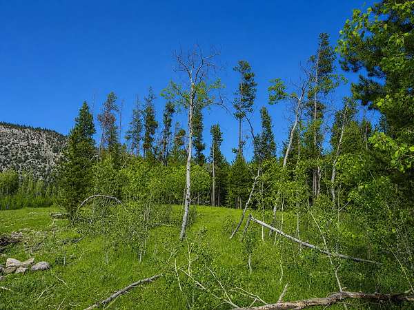 6.1 Acres of Residential Land for Sale in Anaconda, Montana