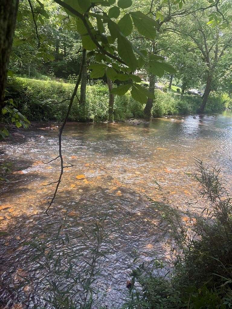 1.38 Acres of Residential Land for Sale in Hayesville, North Carolina