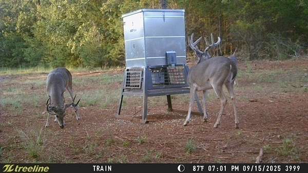 32 Acres of Recreational & Residential Land for Sale in Lindale, Texas