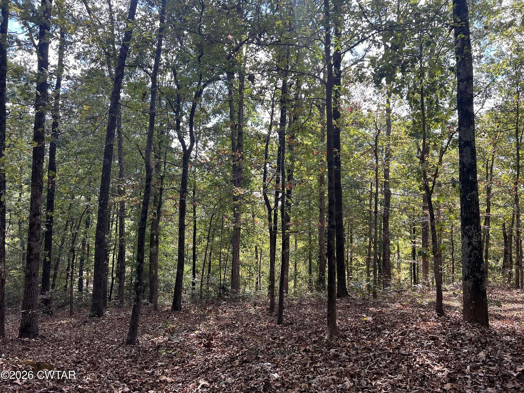 48.3 Acres of Recreational & Residential Land for Sale in Henderson, Tennessee