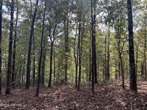 48.3 Acres of Recreational & Residential Land for Sale in Henderson, Tennessee