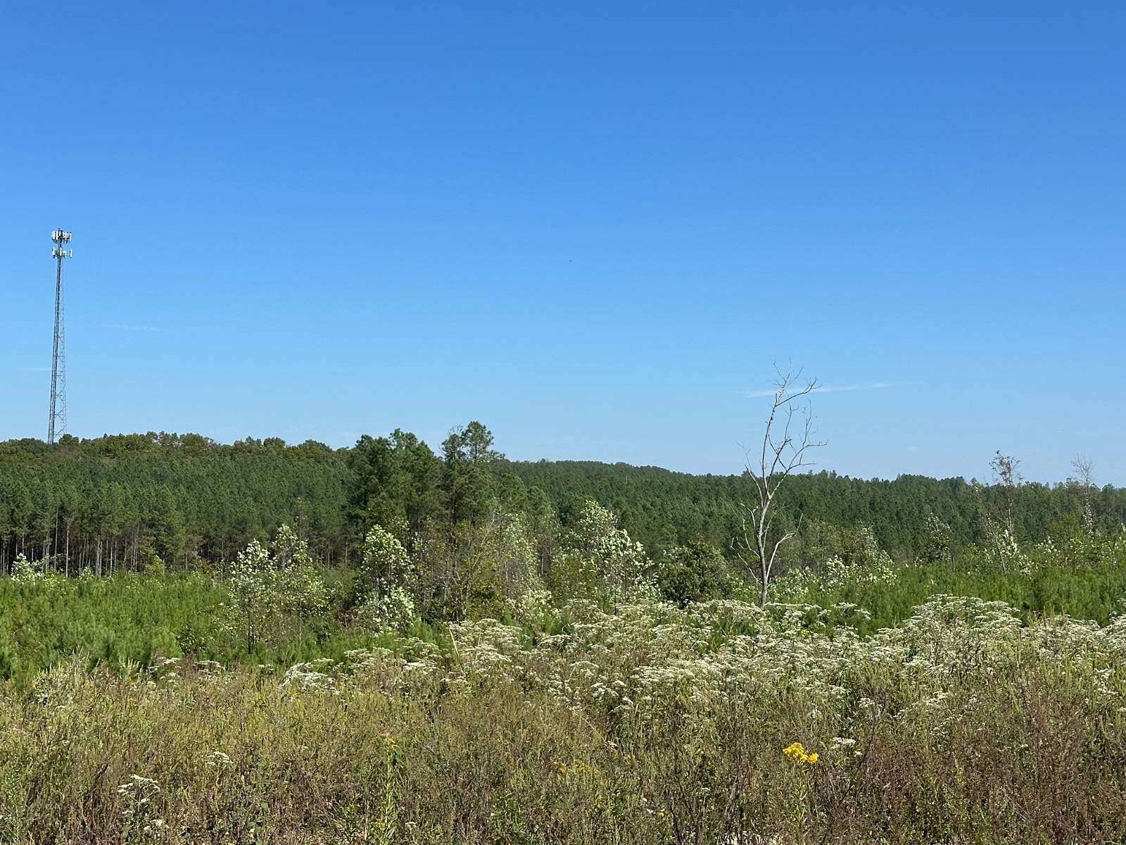 13 Acres of Recreational & Residential Land for Sale in Dover, Tennessee