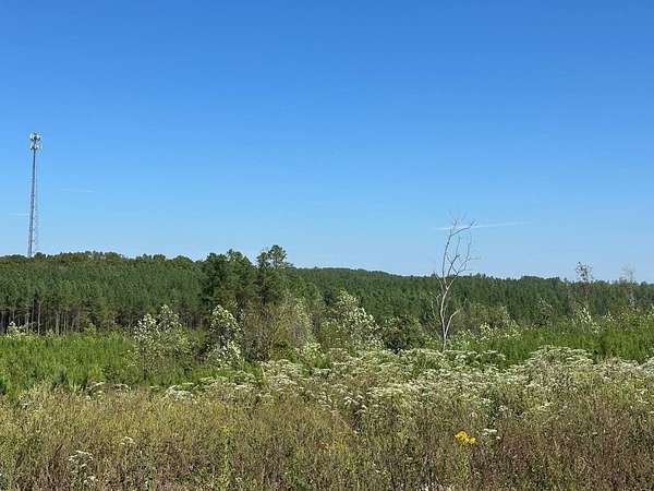 13 Acres of Recreational & Residential Land for Sale in Dover, Tennessee