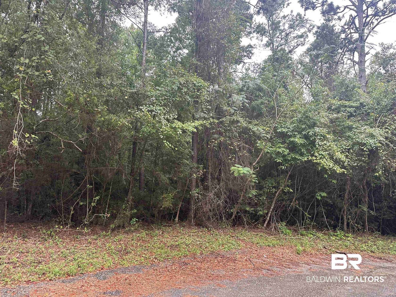0.86 Acres of Residential Land for Sale in Saraland, Alabama