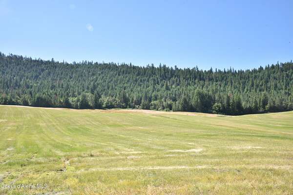 20 Acres of Land for Sale in Plummer, Idaho