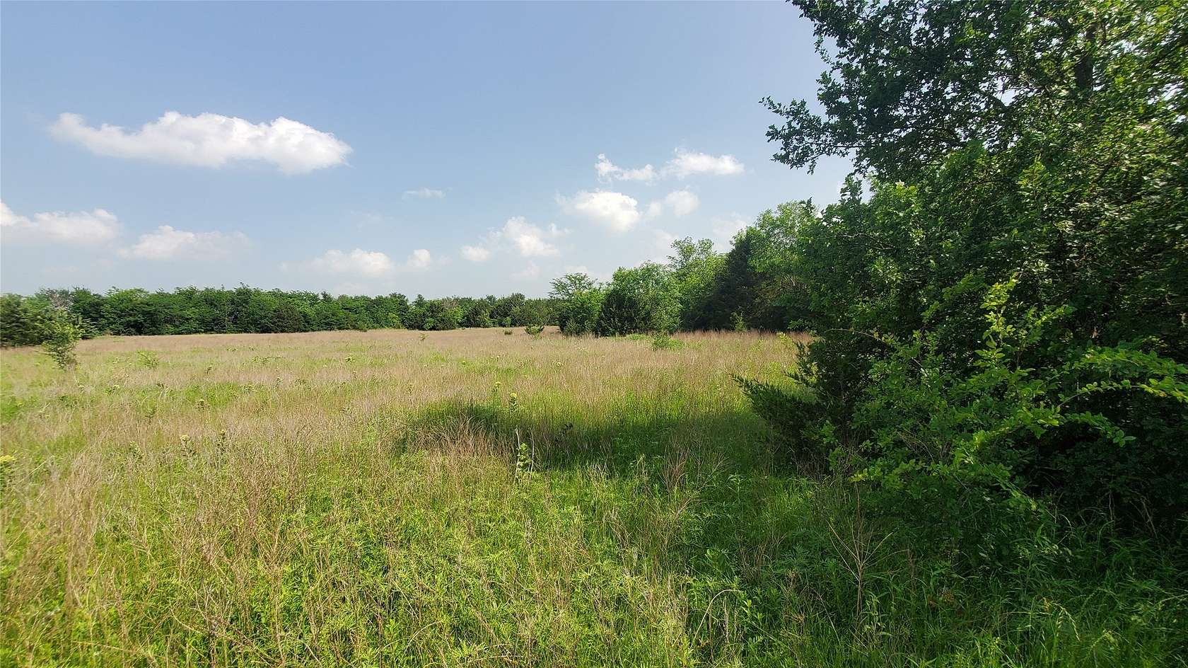 13.4 Acres of Recreational Land for Sale in Celeste, Texas