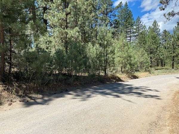 0.86 Acres of Commercial Land for Sale in Portola, California