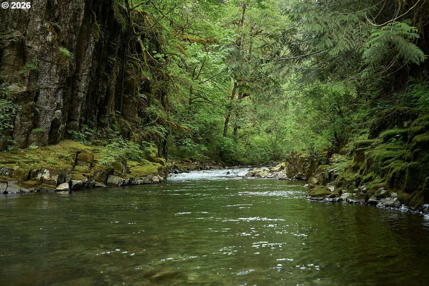 52.5 Acres of Recreational & Residential Land for Sale in Washougal, Washington