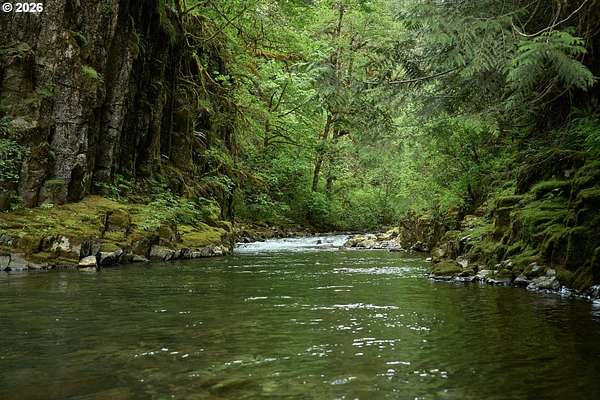 52.5 Acres of Recreational & Residential Land for Sale in Washougal, Washington