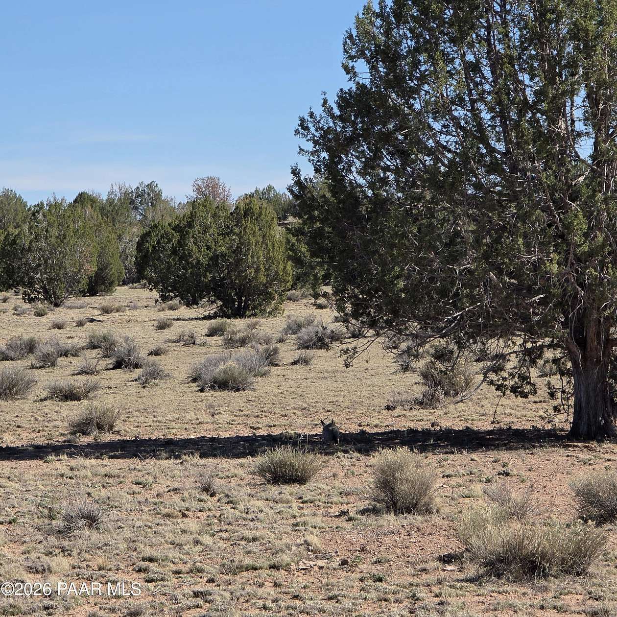 10 Acres of Land for Sale in Ash Fork, Arizona
