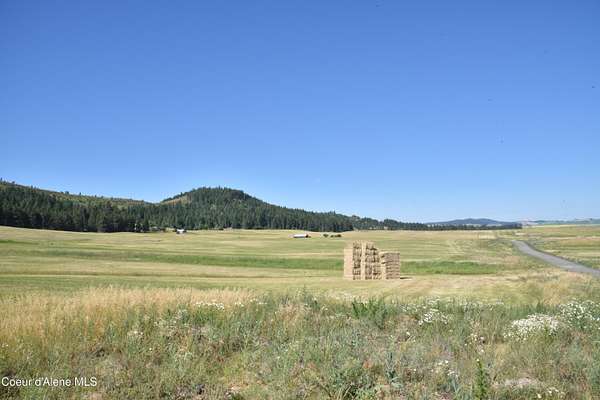 29 Acres of Land for Sale in Plummer, Idaho
