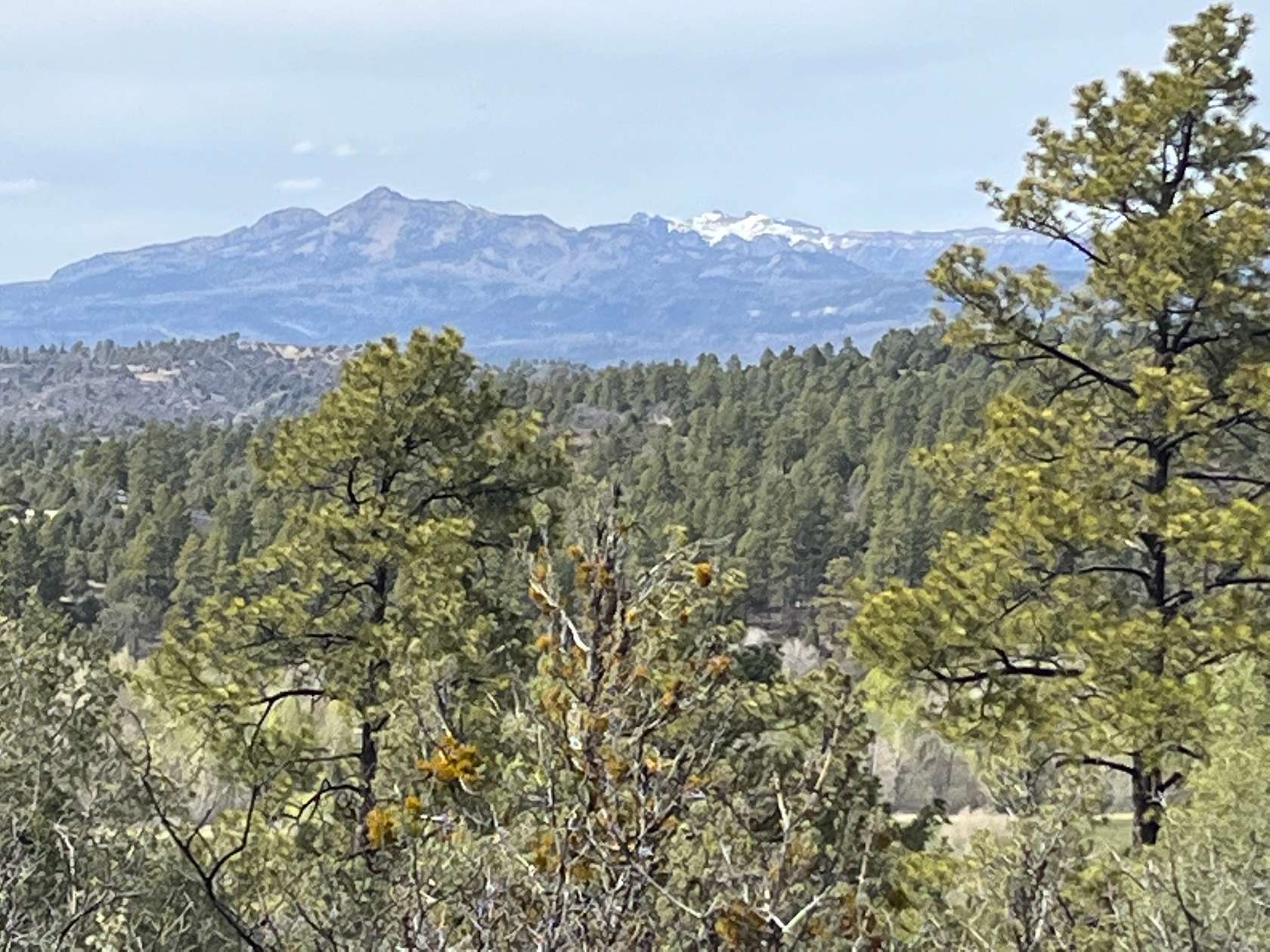 55.5 Acres of Land for Sale in Chama, New Mexico