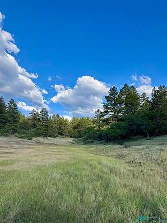 55.5 Acres of Land for Sale in Chama, New Mexico