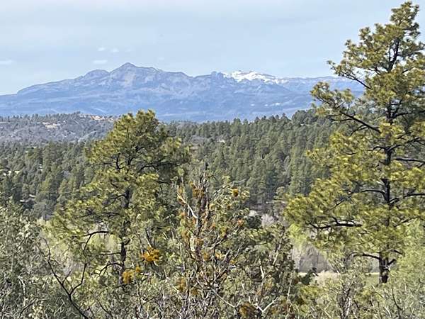 55.5 Acres of Land for Sale in Chama, New Mexico