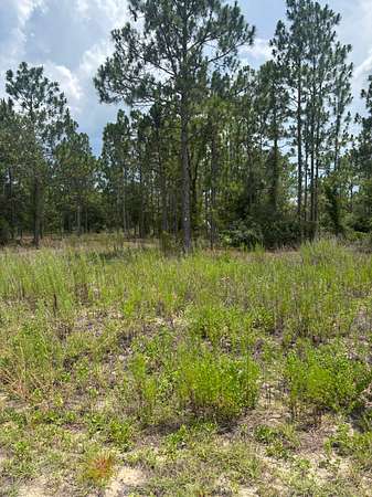1 Acre of Residential Land for Sale in Dunnellon, Florida