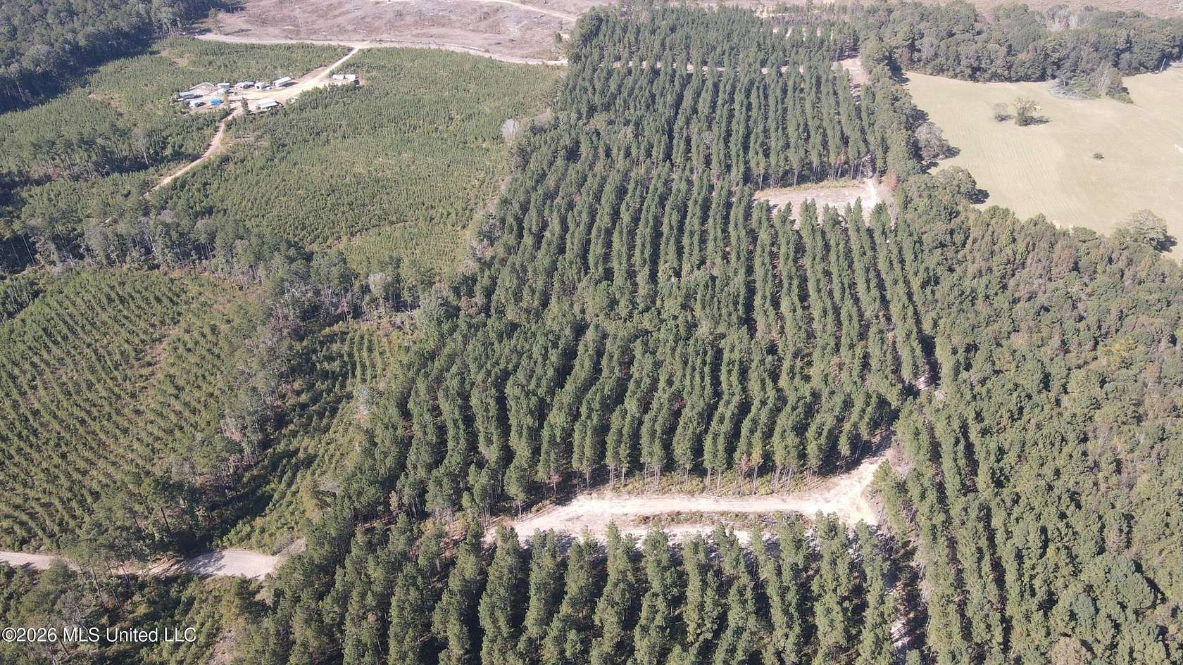 35 Acres of Land for Sale in Pelahatchie, Mississippi