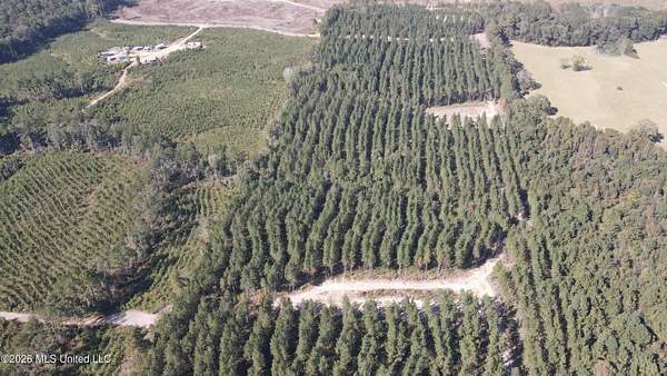 35 Acres of Land for Sale in Pelahatchie, Mississippi