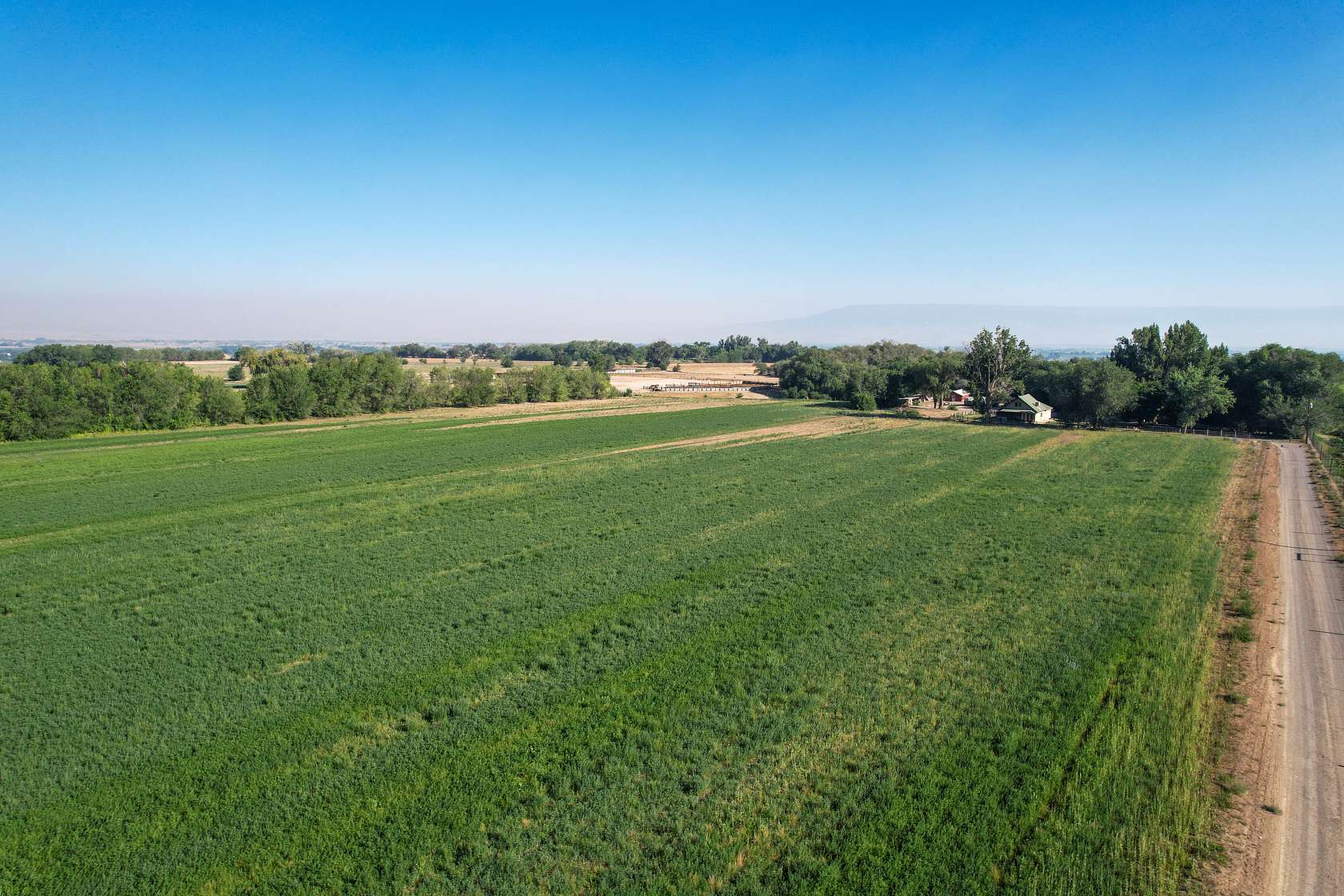 79.1 Acres of Land with Home for Sale in Olathe, Colorado