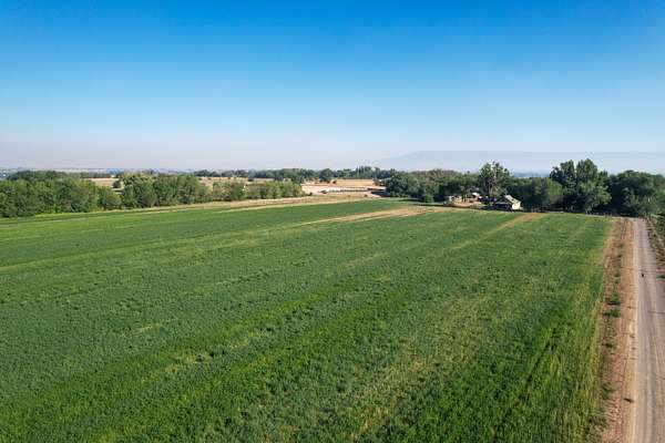 79.1 Acres of Land with Home for Sale in Olathe, Colorado