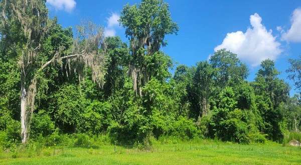 20 Acres of Agricultural Land for Sale in Live Oak, Florida