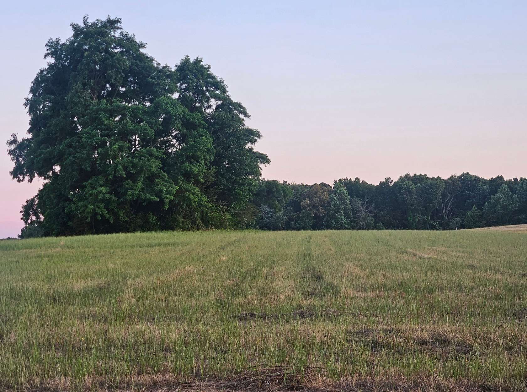 5 Acres of Residential Land for Sale in Woodbury, Tennessee