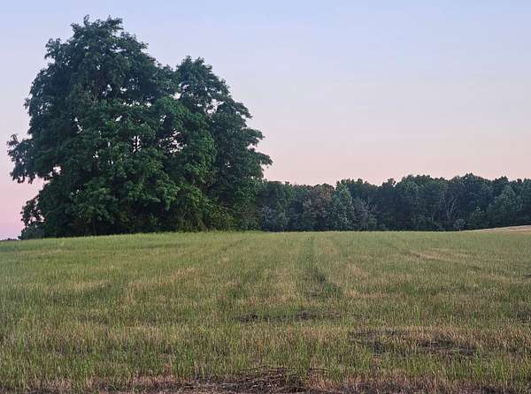 5 Acres of Residential Land for Sale in Woodbury, Tennessee
