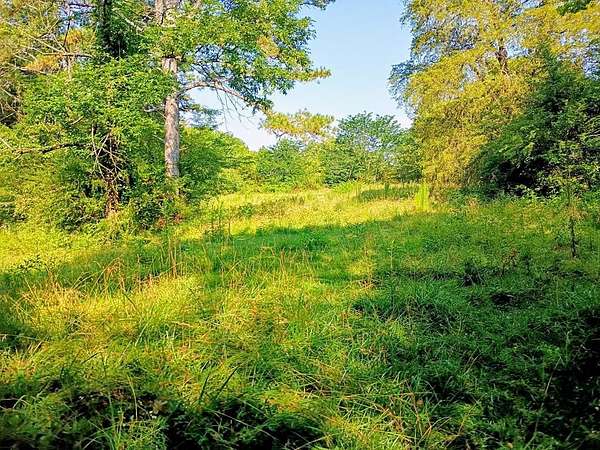 120 Acres of Land for Sale in Cohutta, Georgia