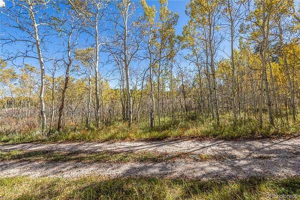 0.21 Acres of Residential Land for Sale in Red Feather Lakes, Colorado