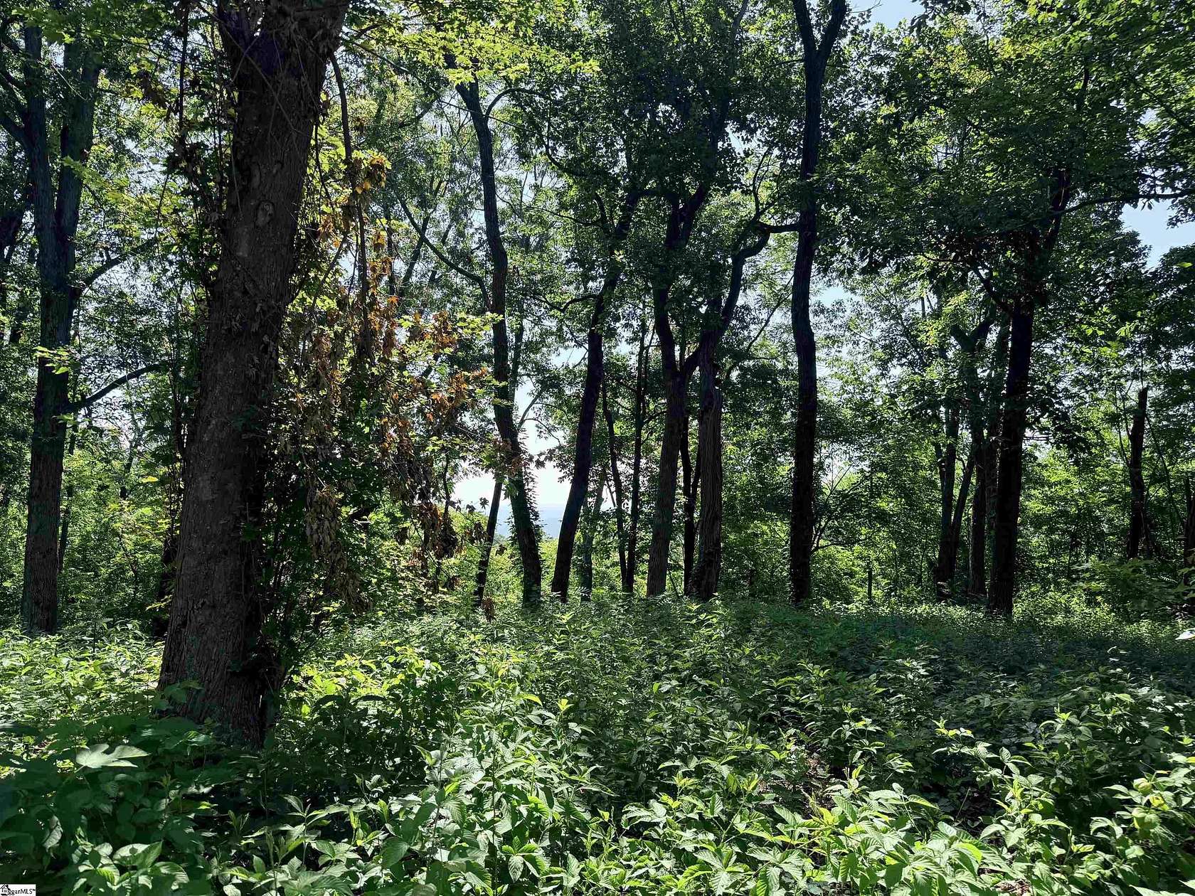 1.69 Acres of Residential Land for Sale in Landrum, South Carolina
