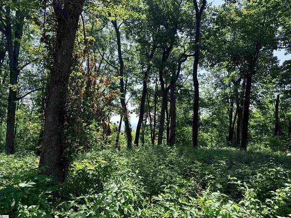 1.69 Acres of Residential Land for Sale in Landrum, South Carolina