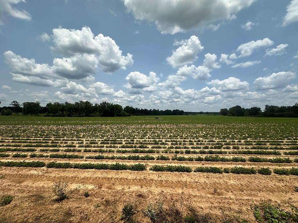 17 Acres of Land for Sale in Dothan, Alabama
